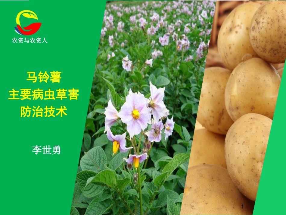 马铃薯病虫草害防治技术_第1页