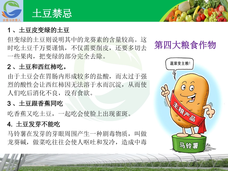 马铃薯病虫草害防治技术_第2页