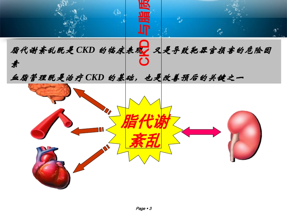 慢性肾脏病的血脂管理讲义_第3页