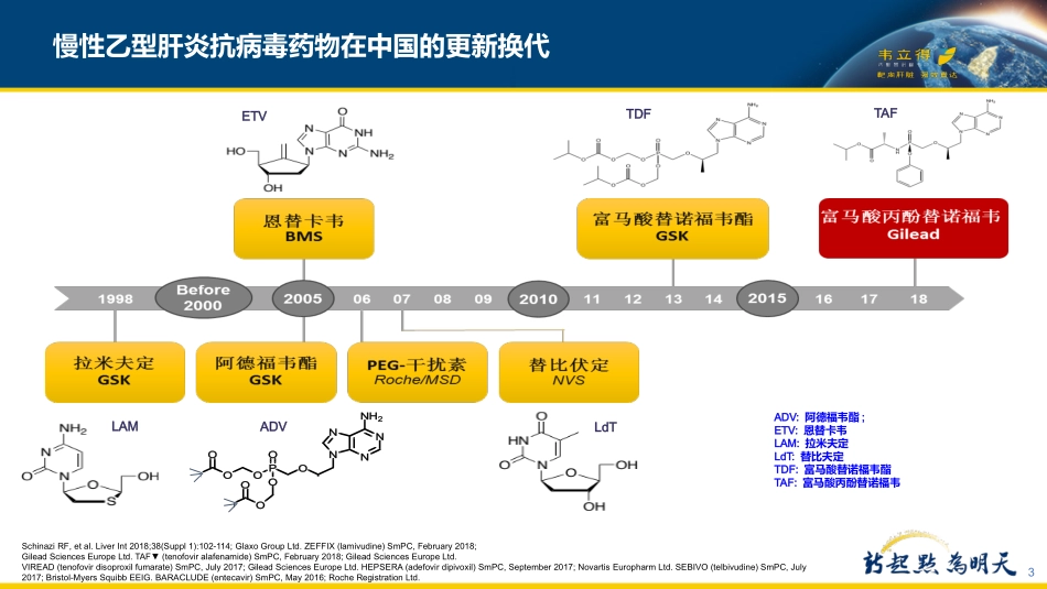 慢性乙型肝炎抗病毒治疗与骨及肾损伤_第3页