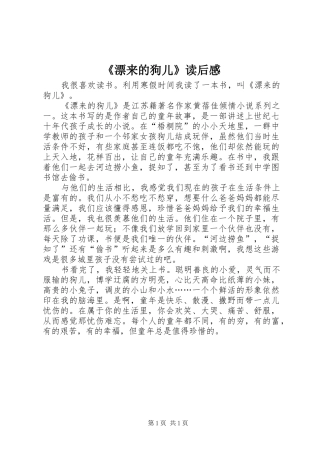 漂来的狗儿读后感
