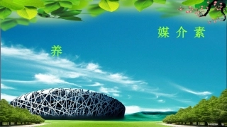 媒介娱乐素养