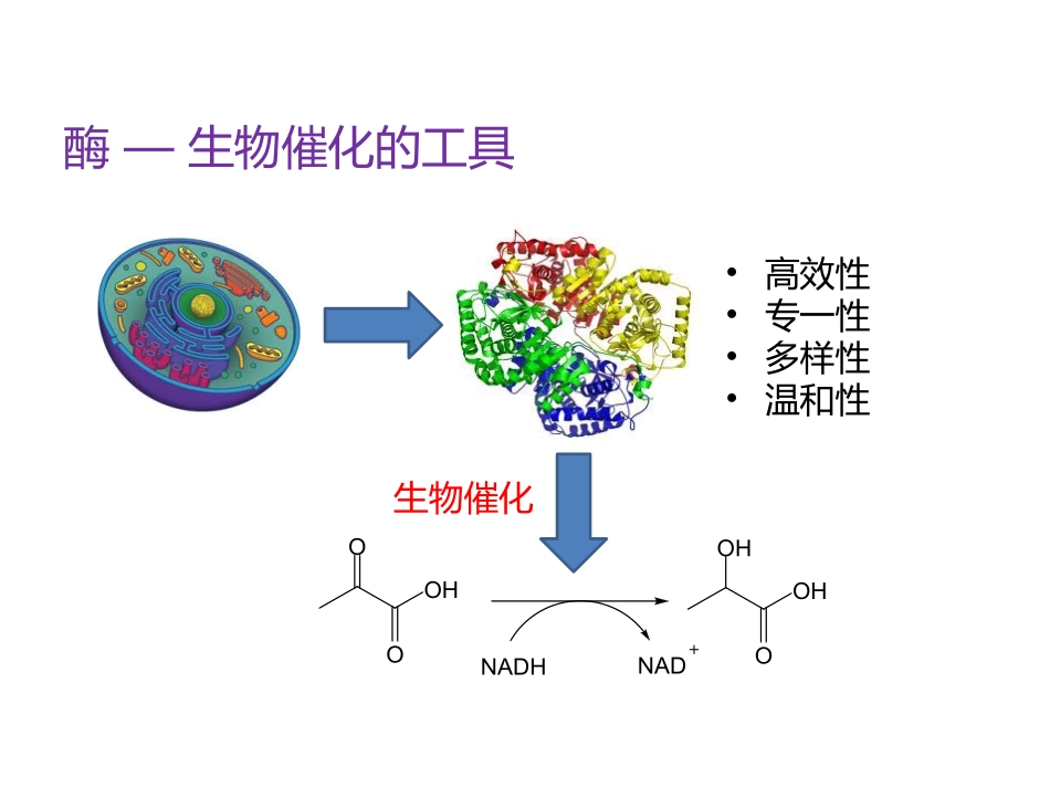 酶的定向进化_第3页