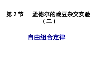 孟德尔的豌豆杂交实验