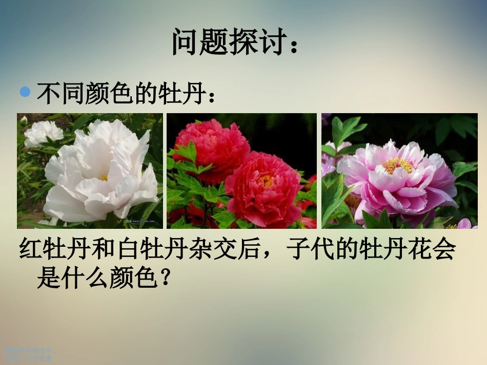 孟德尔豌豆杂交实验一对相对性状_第2页