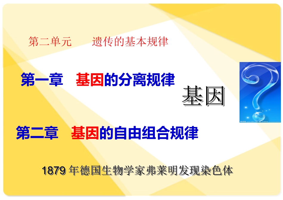 孟德尔遗传试验及遗传学第一定律的发现_第2页