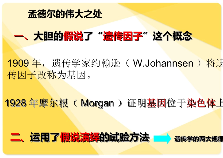 孟德尔遗传试验及遗传学第一定律的发现_第3页