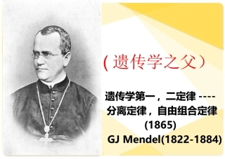 孟德尔遗传试验及遗传学第一定律的发现