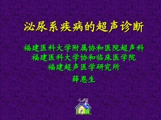 泌尿系统的超声诊断