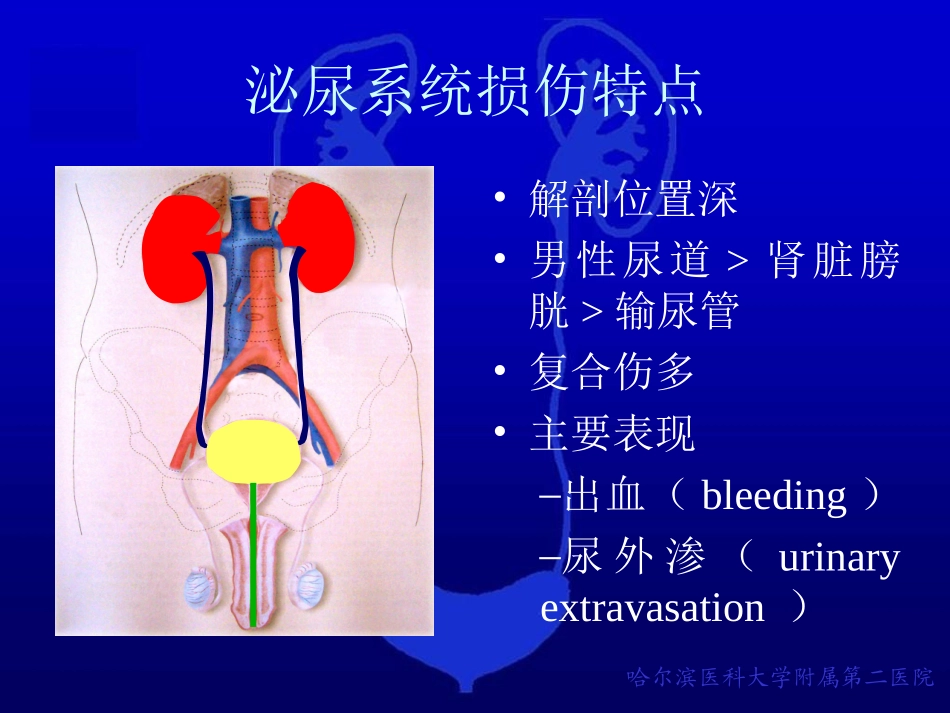 泌尿系统损伤_第3页
