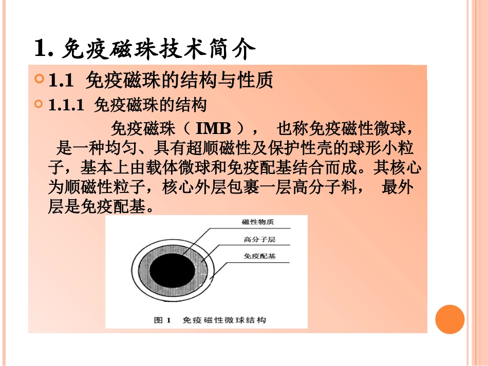 免疫磁珠技术_第3页