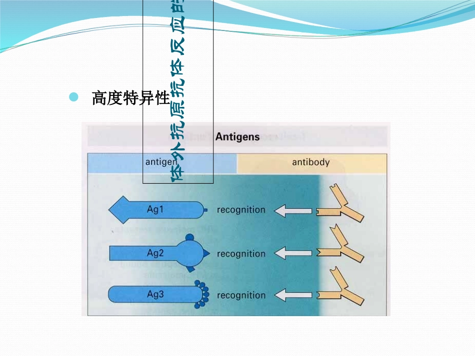 免疫球蛋白的鉴定_第3页