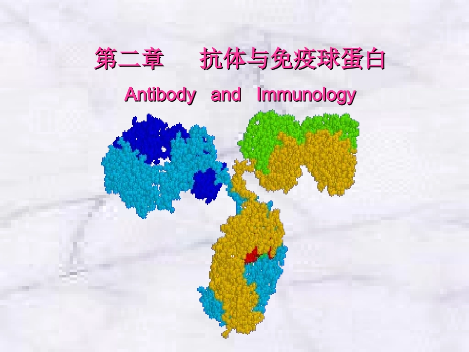 免疫球蛋白和抗体_第1页