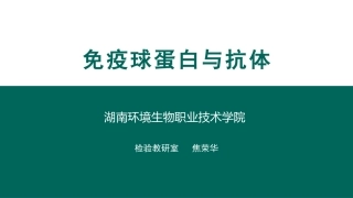 免疫球蛋白与抗体