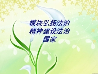 模块弘扬法治精神建设法治国家专题培训课件