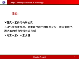 木素的分离与精制