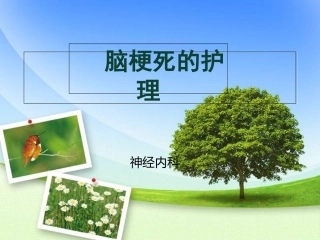 脑梗死护理常规