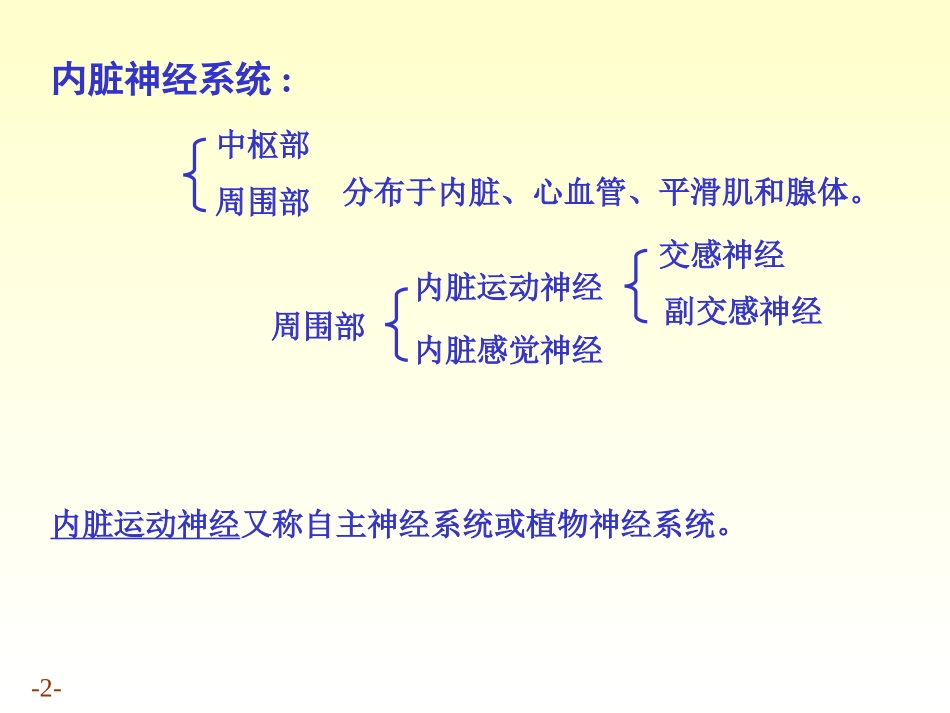 内脏神经的解剖结构_第2页