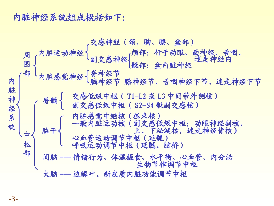 内脏神经的解剖结构_第3页