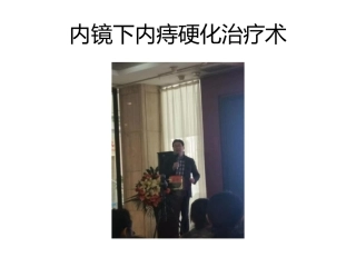 内痔硬化治疗术