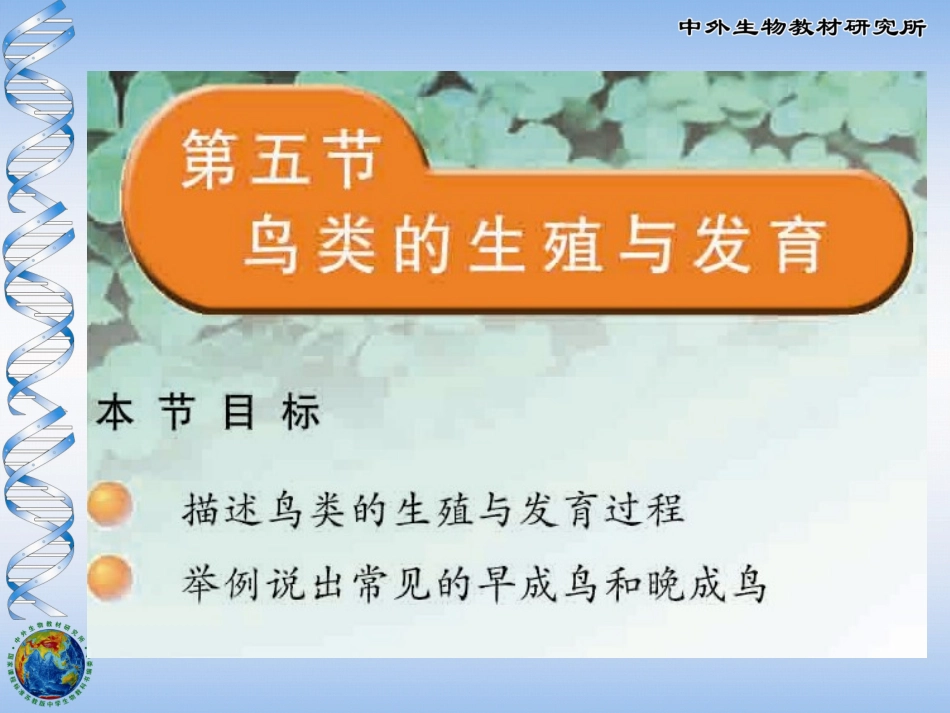 鸟类的生殖与发育_第1页