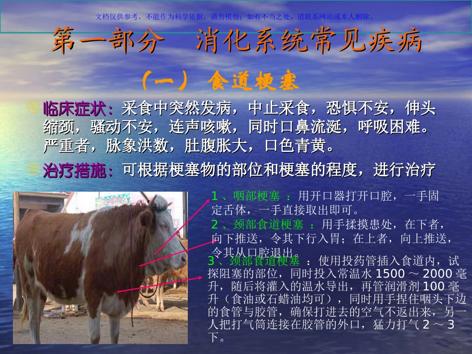 牛常见病防治课件_第3页
