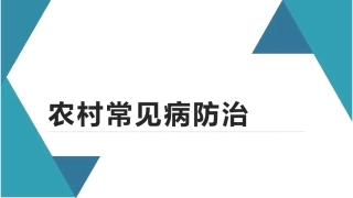 农村常见病防治