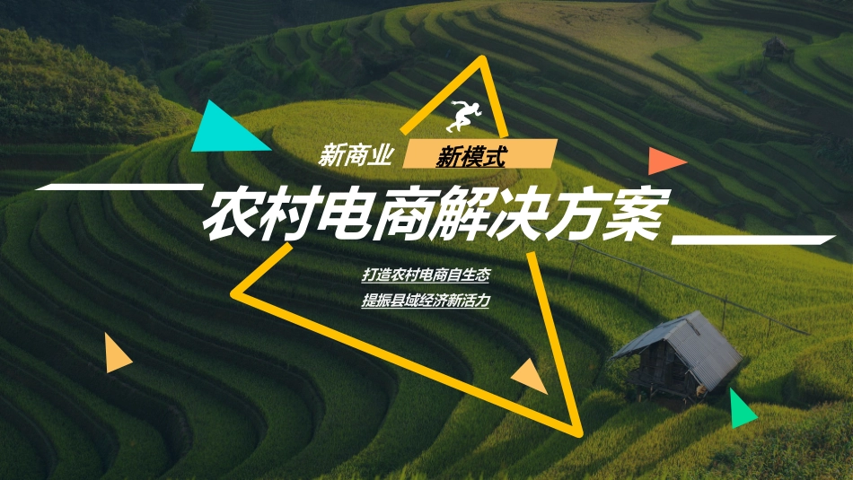 农村电商解决方案_第1页