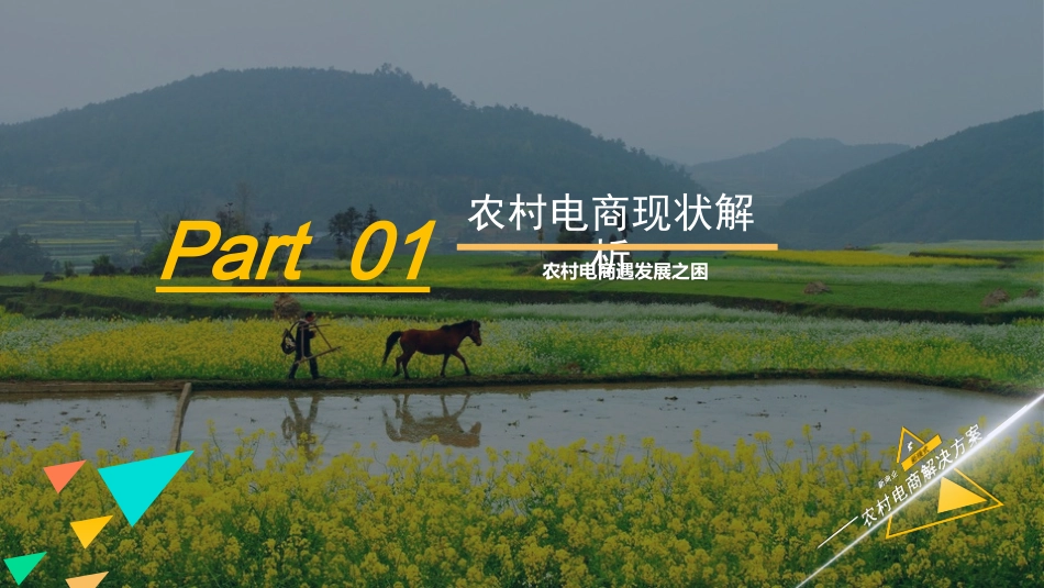 农村电商解决方案_第3页