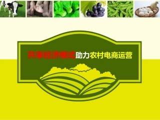 农村电商运营平台建设方案培训课件