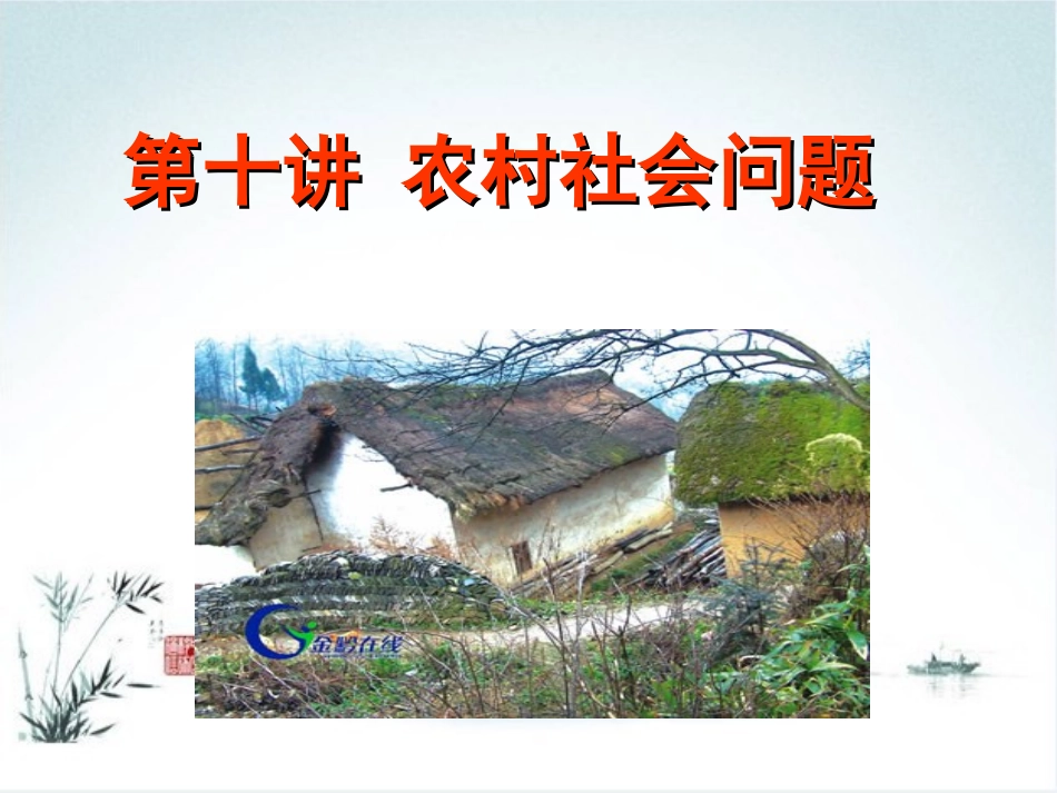 农村社会学课件农村社会问题详解_第1页