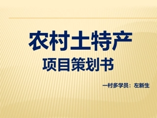 农村土特产创业项目策划书