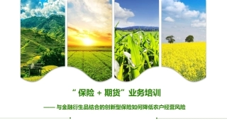 农业保险与期货