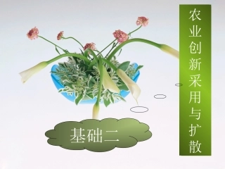 农业创新扩散原理