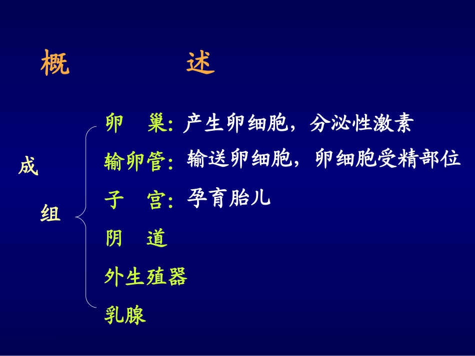 女性生殖系统_第2页