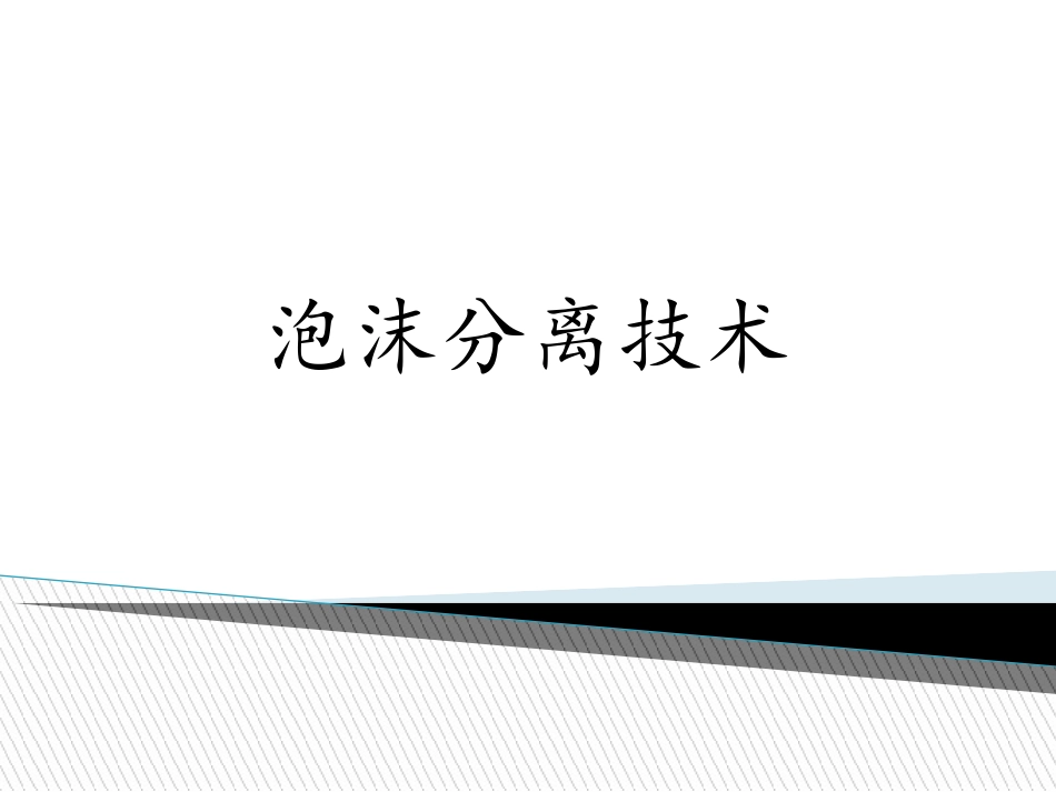 泡沫分离技术_第1页