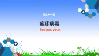 疱疹病毒授课