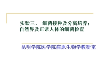 培养细菌的方法