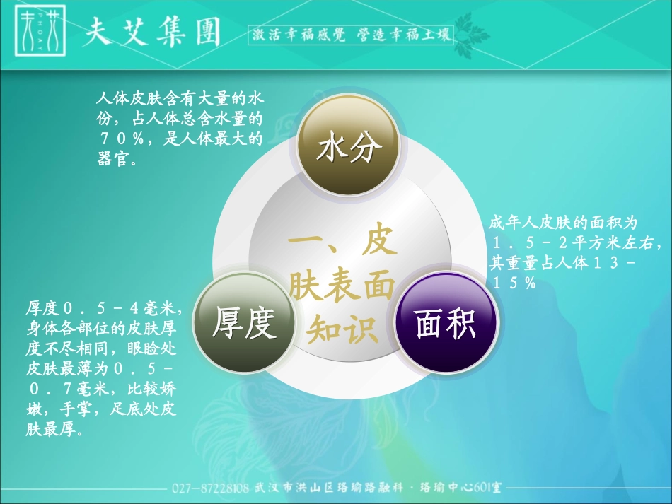 皮肤美容知识_第3页