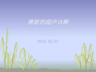 脾脏的超声诊断