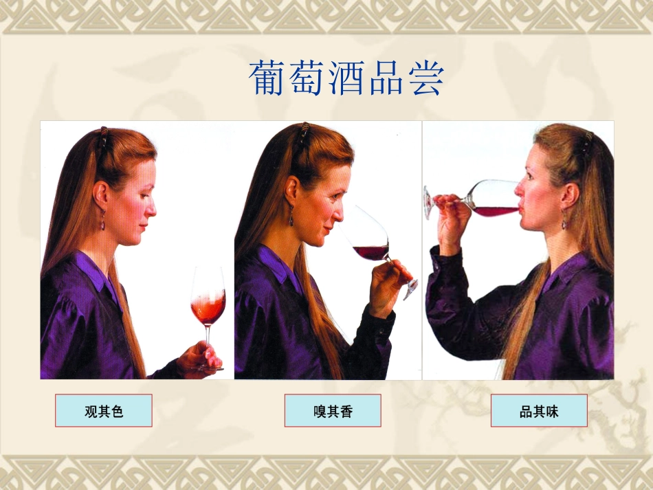 品酒师培训教材_第1页