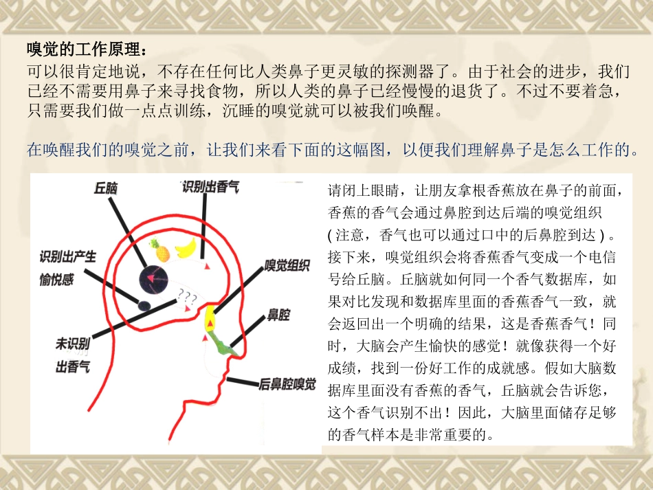 品酒师培训教材_第3页