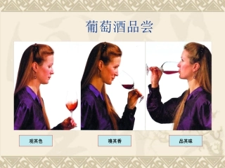 品酒师培训教材