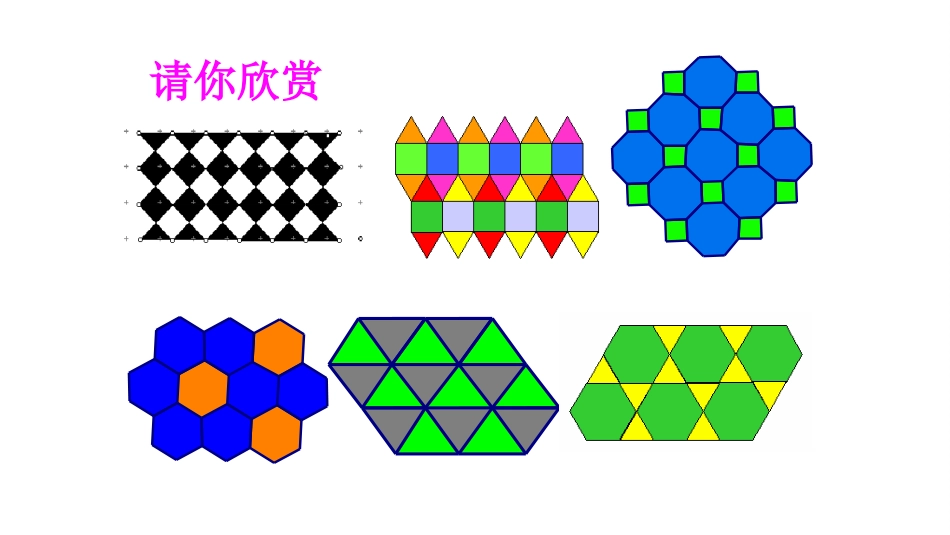 平面图形的镶嵌_第2页