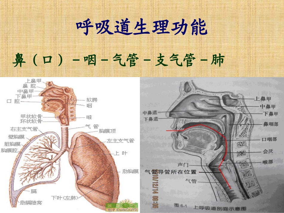 气管切开的护理课件_第3页
