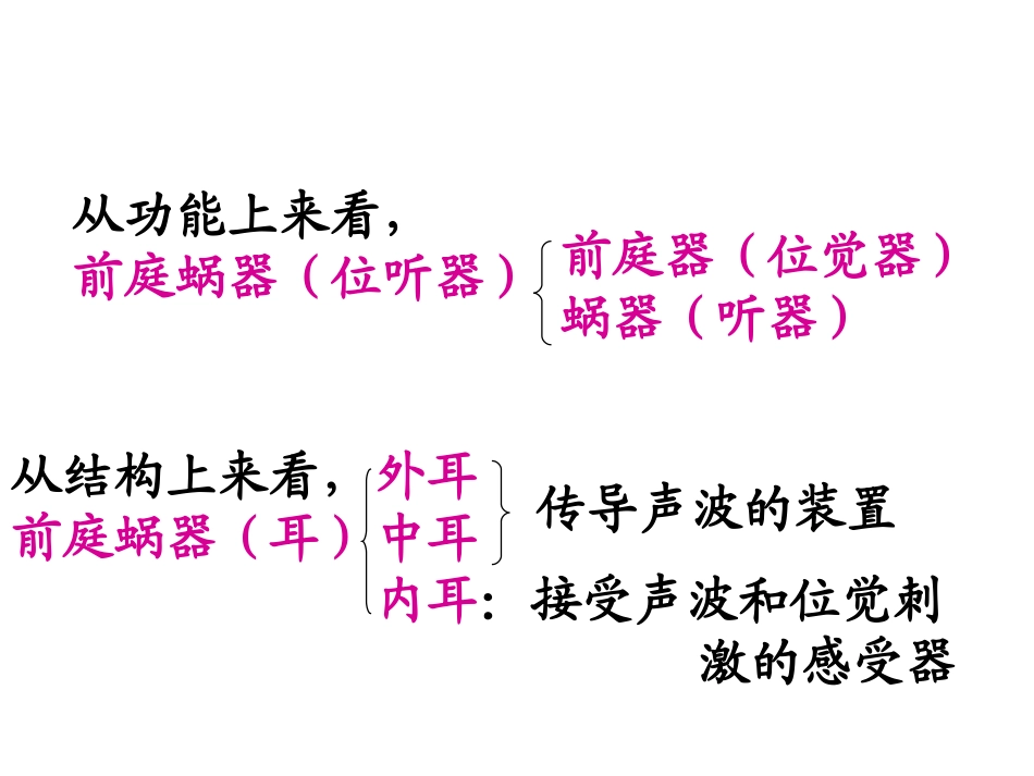 前庭蜗器课件_第2页