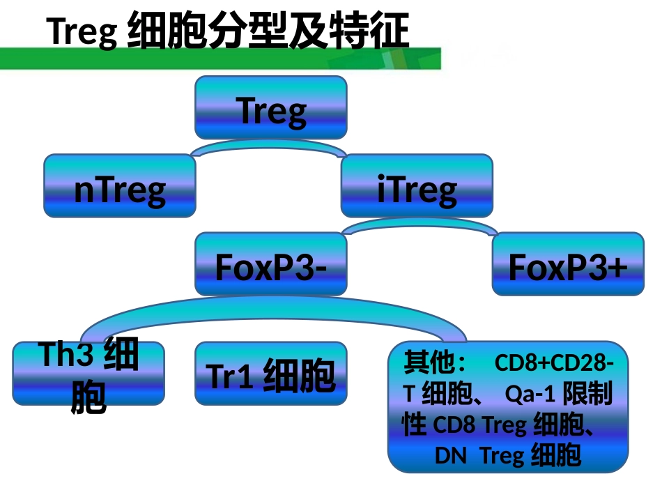 浅谈Treg细胞_第3页