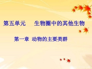 腔肠动物和扁形动物课件
