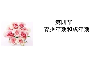 青少年期和成年期