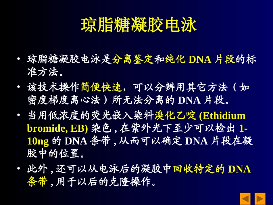 琼脂糖凝胶天然琼脂_第3页